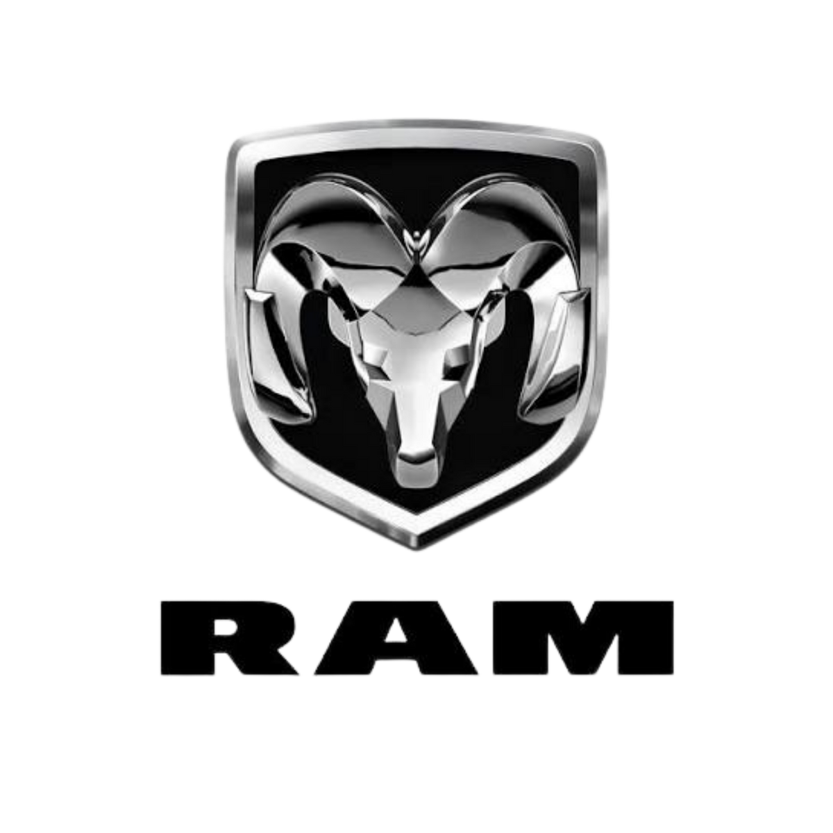 RAM